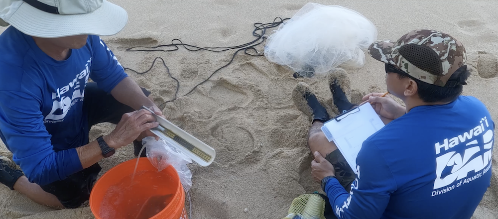 Neal Hazama measures a fish while biologist Brian Ishida records the data.